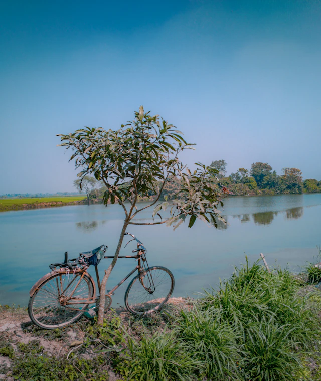 Beispielbild: Fahrrad am Flussufer